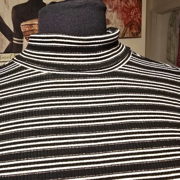 ANN TAILOR BEAUTIFUL 🤩 BLACK ,WHITE AND SILVER METALLIC STRIPED WOMEN’S SWEATER - Picture 6 of 16